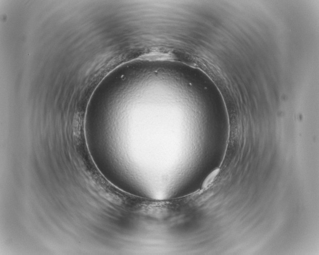 X0000086950078200704231436