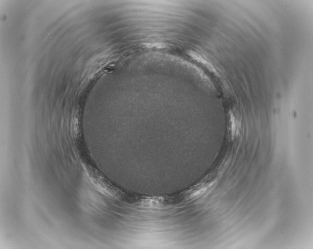 X0000086950080200704231436