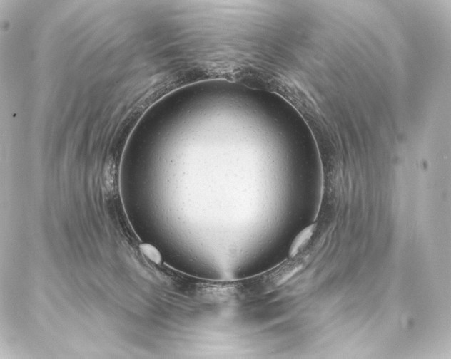 X0000086950081200704231436