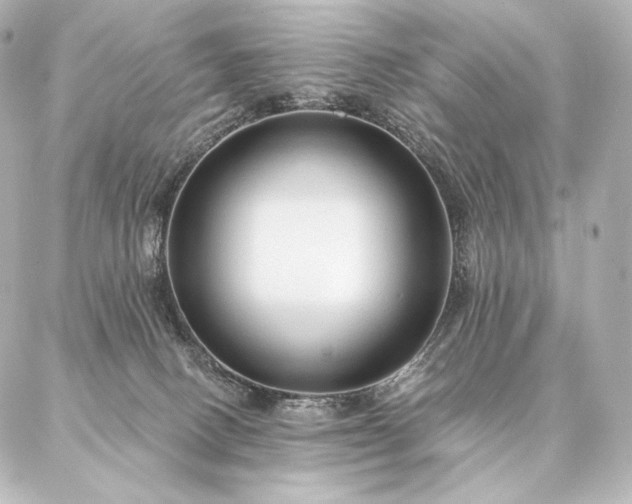 X0000086950082200704231436