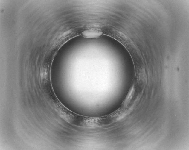 X0000086950084200704231436