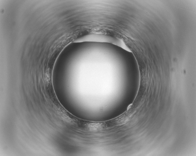 X0000086950085200704231436