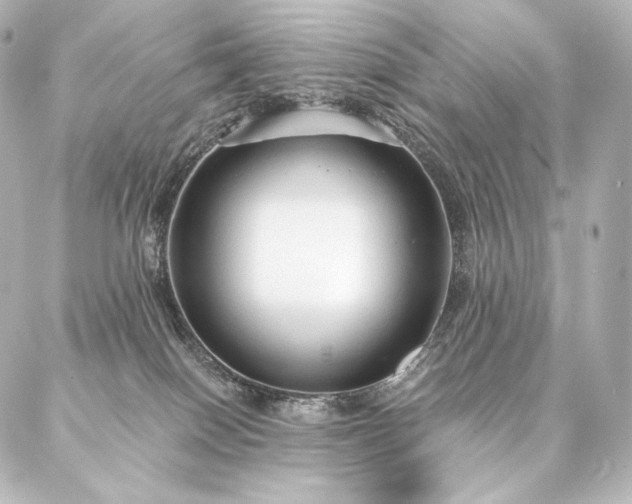 X0000086950086200704231436