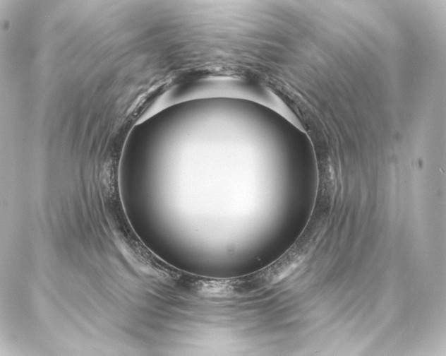 X0000086950088200704231436