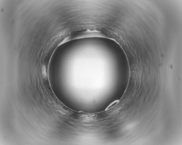 X0000086950089200704231436