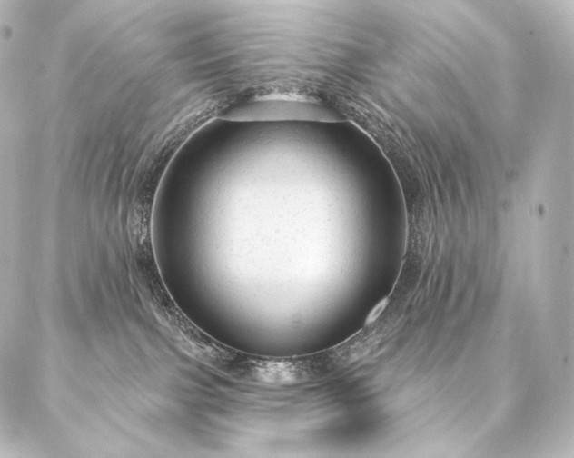 X0000086950091200704231436