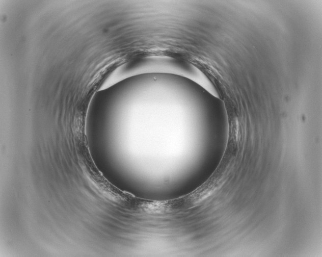 X0000086950092200704231436