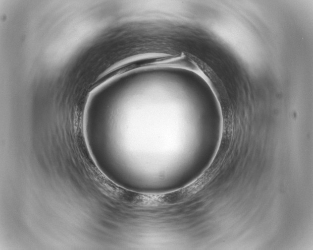 X0000086950093200704231436