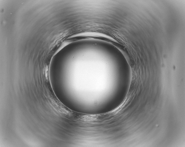 X0000086950094200704231436