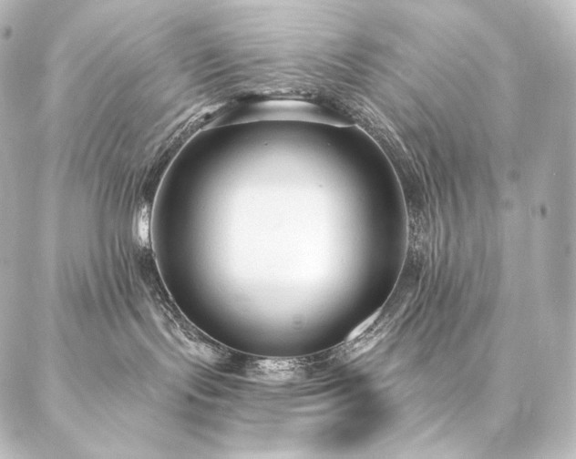 X0000086950095200704231436