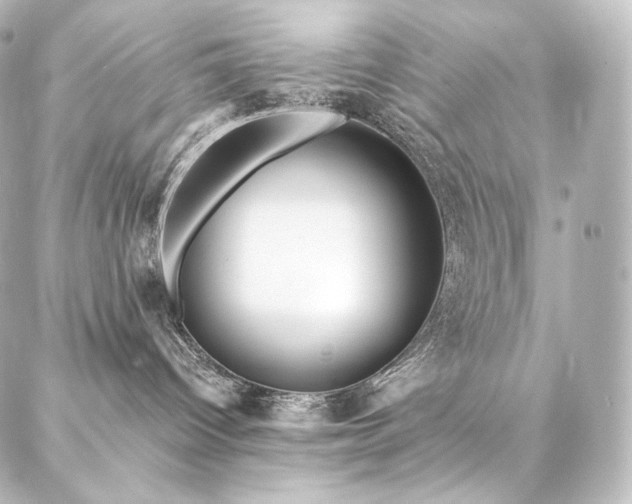 X0000086950096200704231436