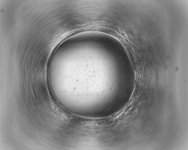 X0000086950100200704231435