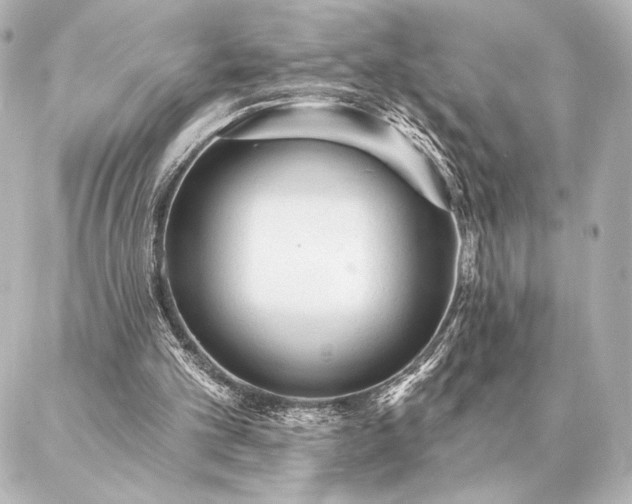 X0000086950101200704231435