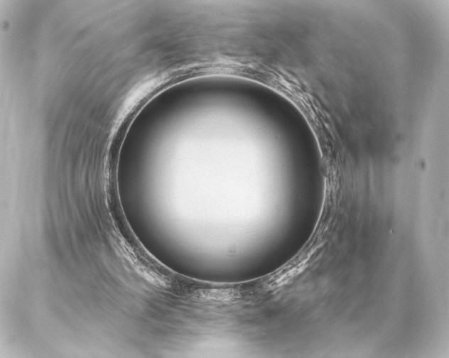 X0000086950102200704231435