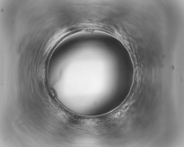 X0000086950103200704231435