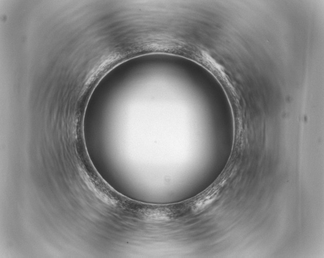 X0000086950106200704231435