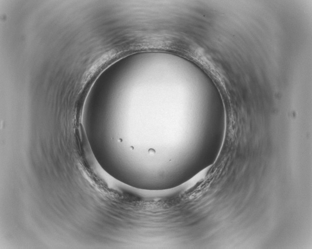 X0000086950107200704231435