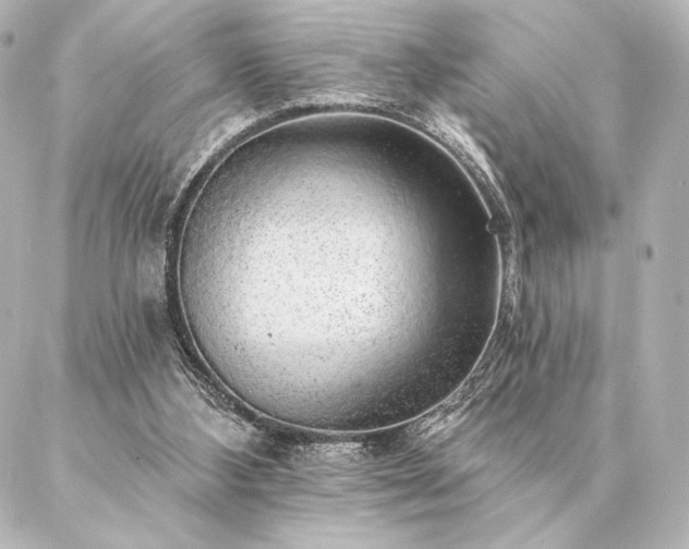 X0000086950108200704231435