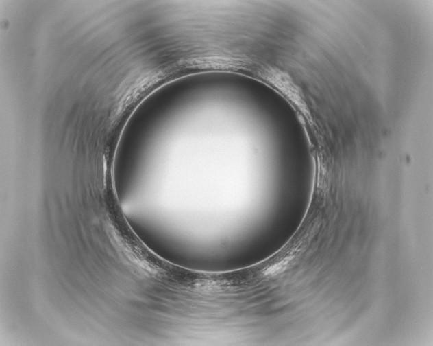 X0000086950109200704231435