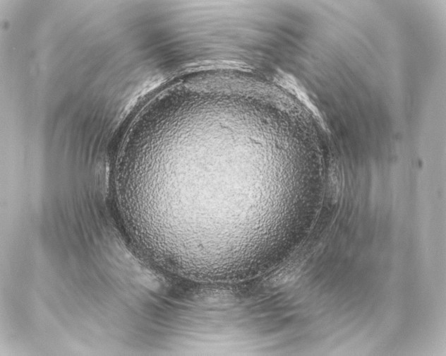 X0000086950110200704231435