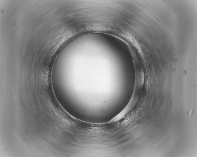 X0000086950111200704231435