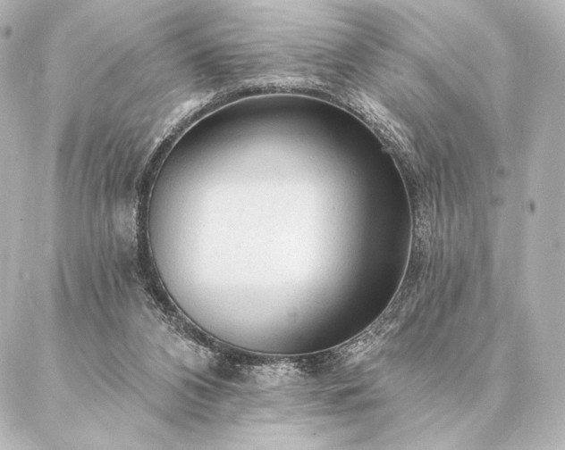 X0000086950112200704231435