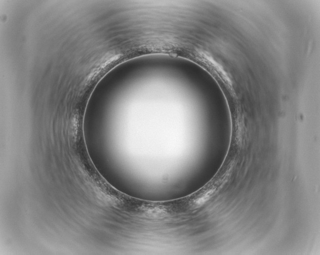 X0000086950113200704231435