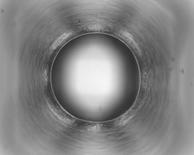 X0000086950116200704231435