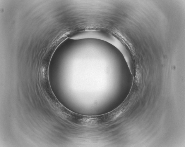 X0000086950117200704231435