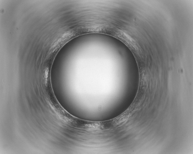 X0000086950118200704231435