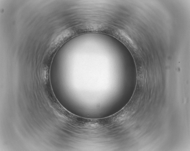 X0000086950119200704231435