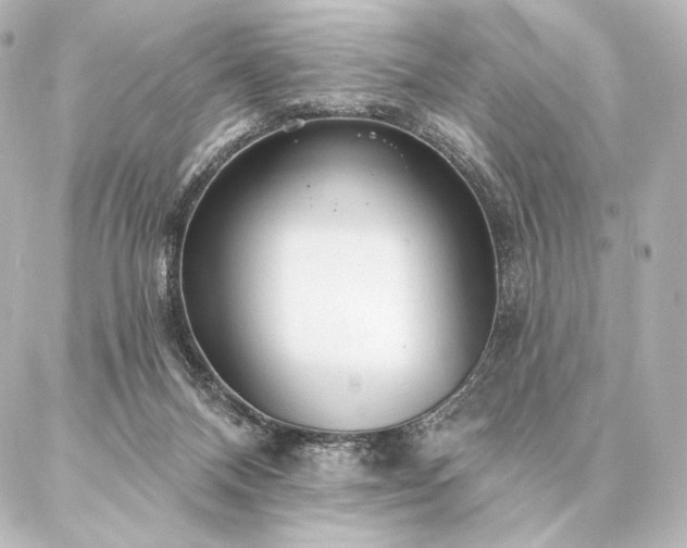 X0000086950120200704231435