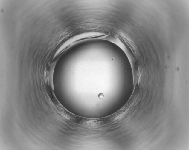 X0000086950121200704231435