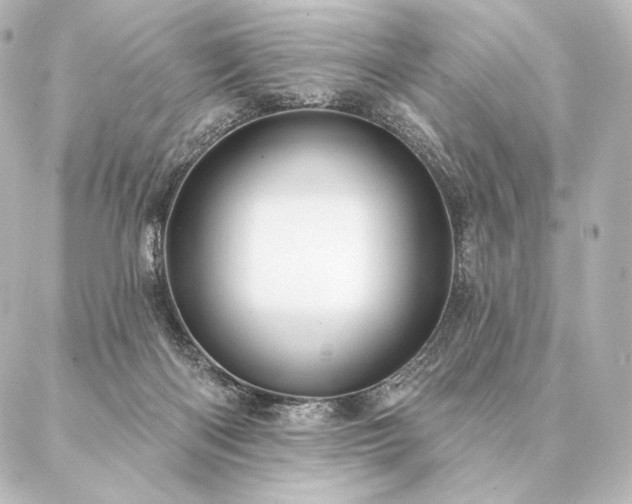 X0000086950122200704231435