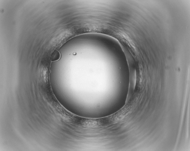 X0000086950123200704231435