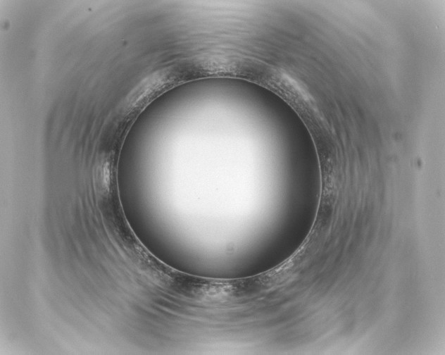 X0000086950124200704231435