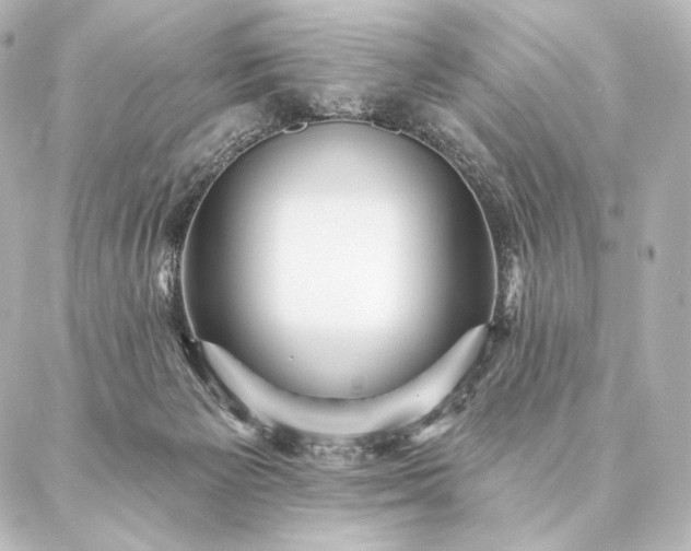 X0000086950125200704231435