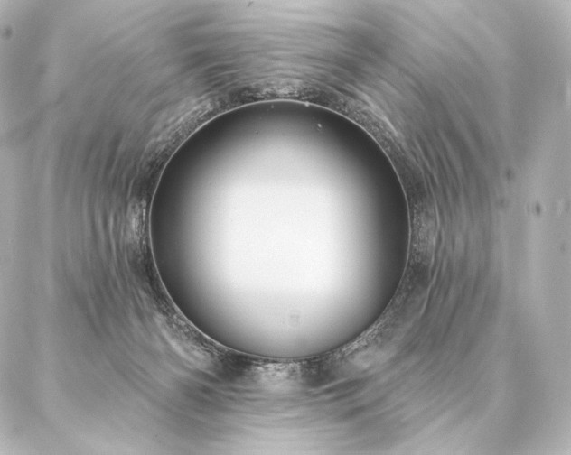 X0000086950126200704231435