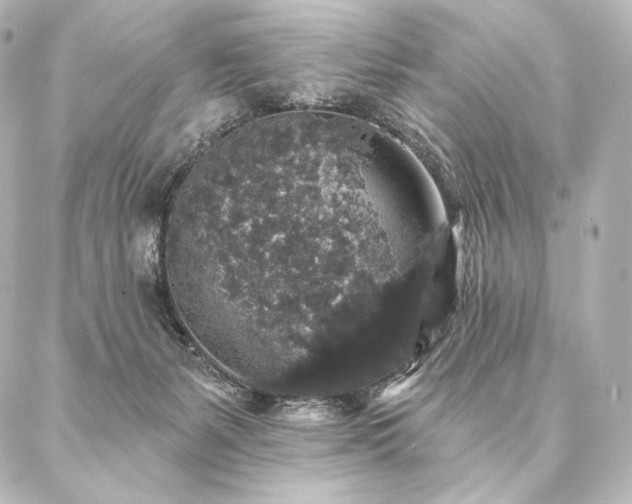 X0000086950127200704231435