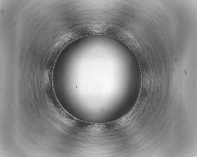 X0000086950128200704231435