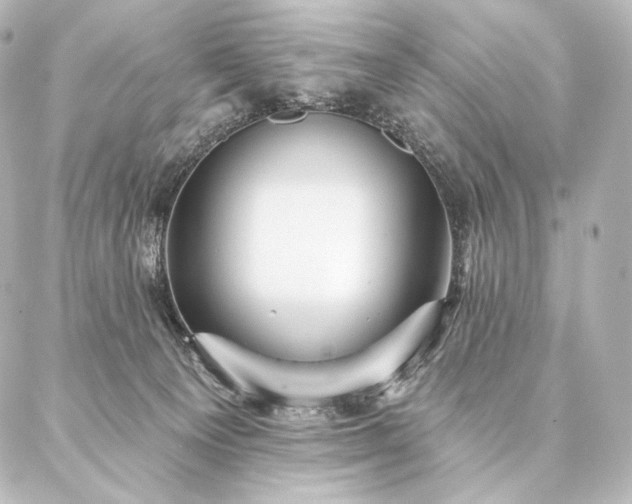 X0000086950129200704231435