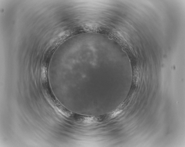 X0000086950130200704231435