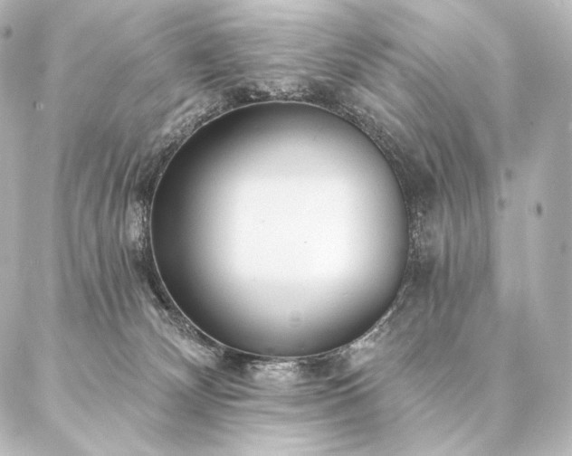 X0000086950132200704231435