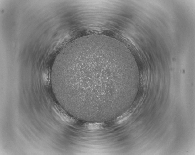 X0000086950134200704231435