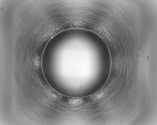 X0000086950135200704231435