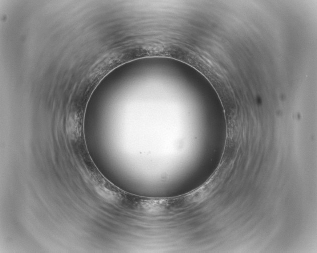 X0000086950136200704231435