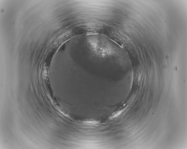 X0000086950137200704231435