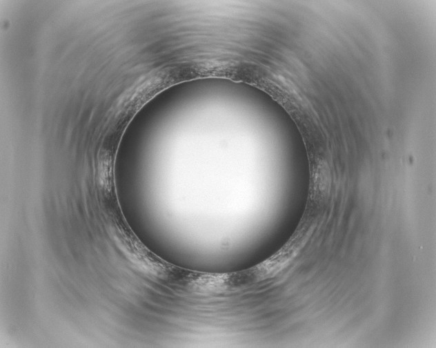 X0000086950138200704231435