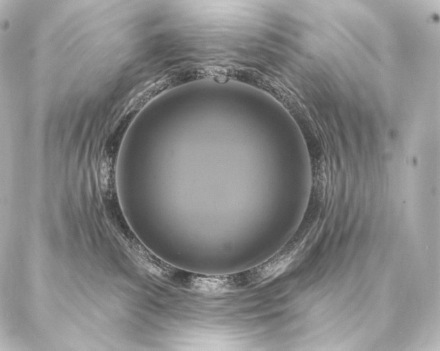 X0000086950139200704231435