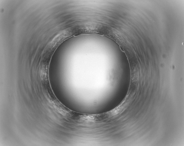 X0000086950140200704231435